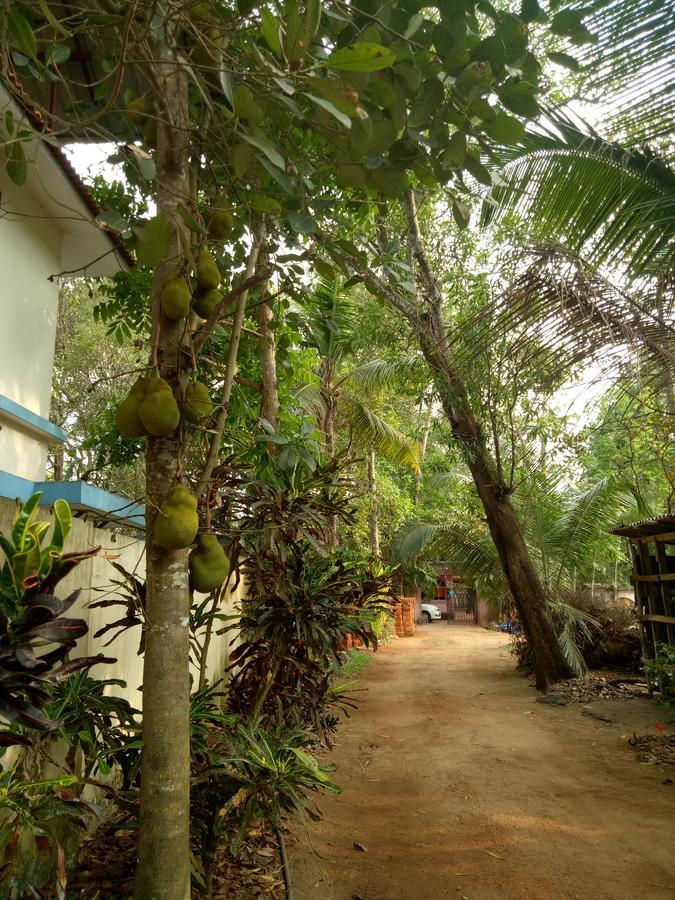 Agape Marari Apartment Mararikulam Ngoại thất bức ảnh